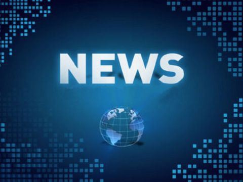 Comhdhéanamh agus Feidhm an Bhioráin Pogo